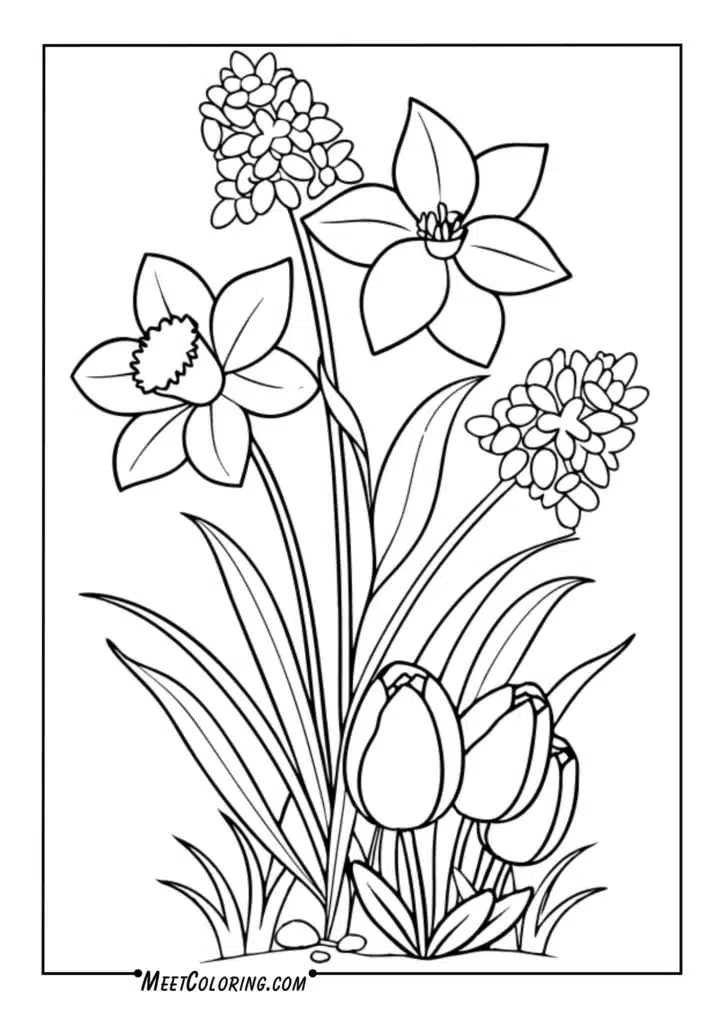 Daffodils, tulips, hyacinths