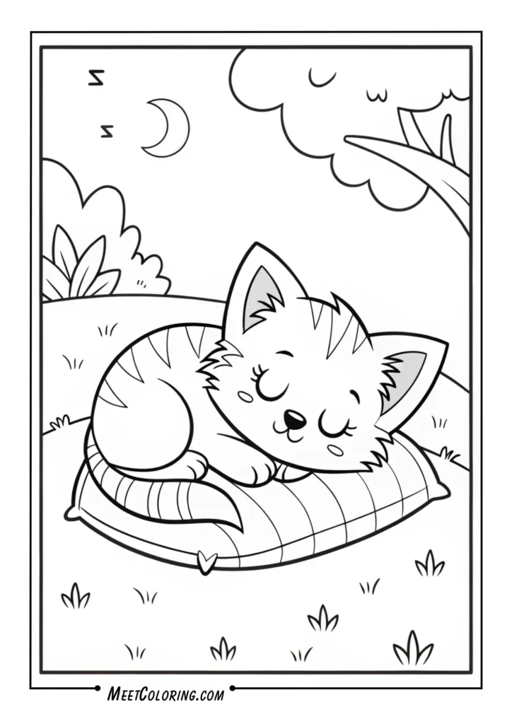 Kitten on Pillow