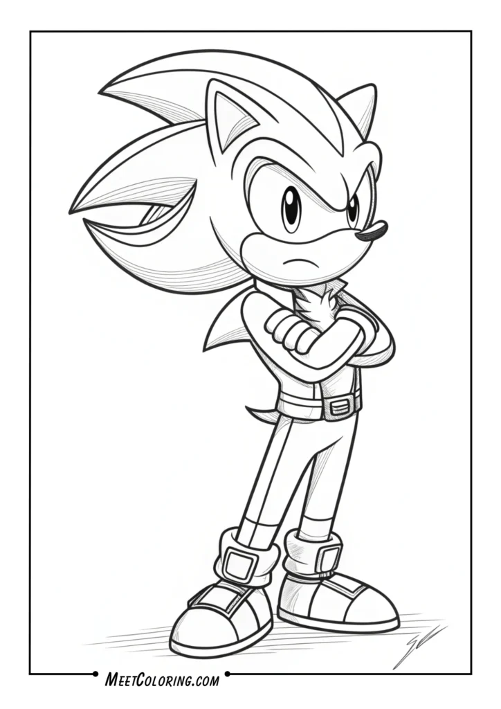 Shadow the Hedgehog Arms Crossed