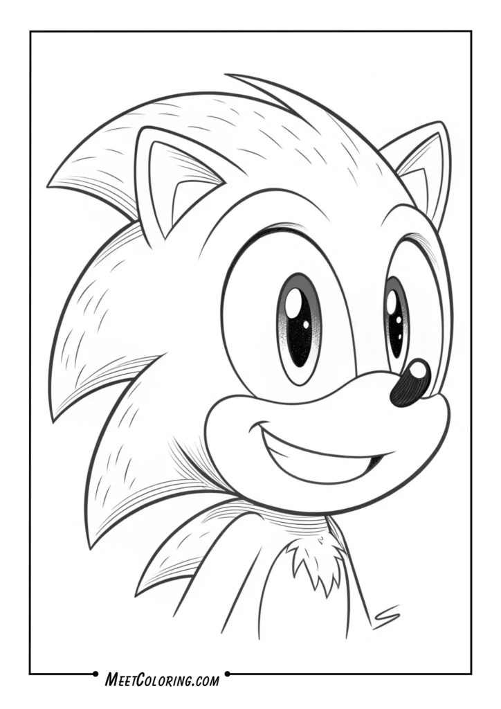Sonic Face Close-Up
