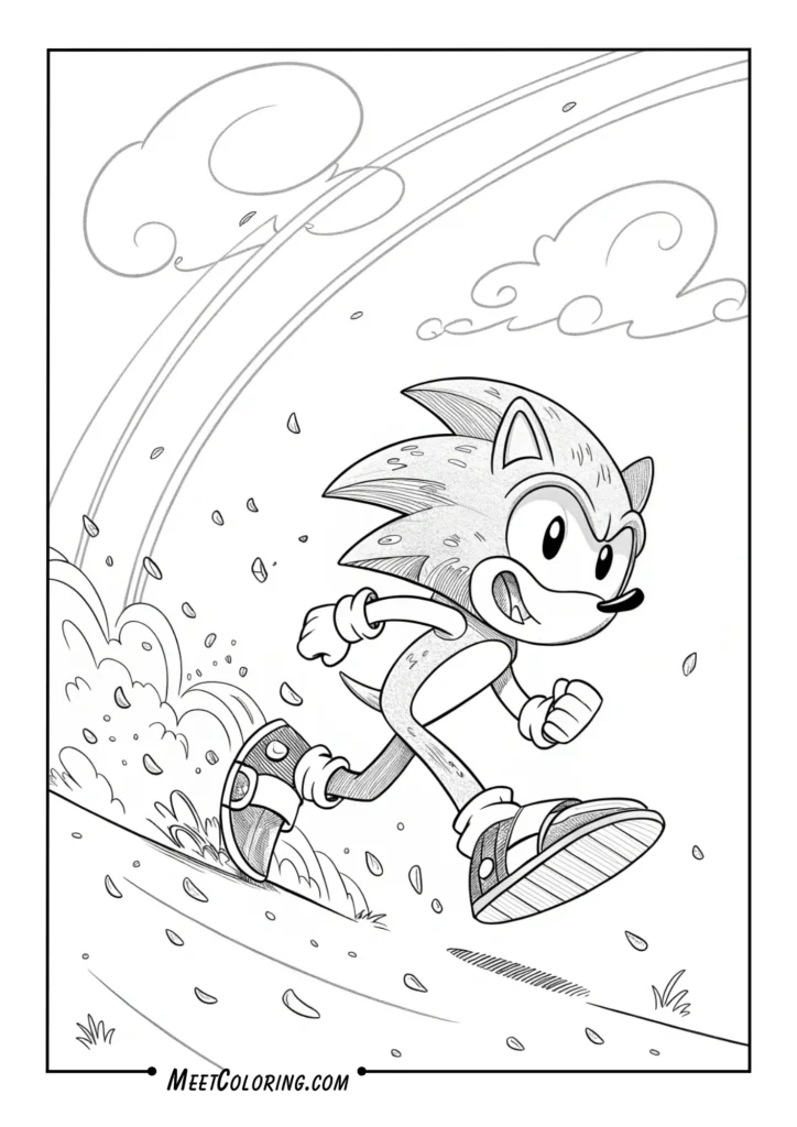 Sonic Skidding to a Stop