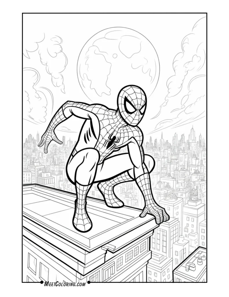Spider-Man on a Rooftop