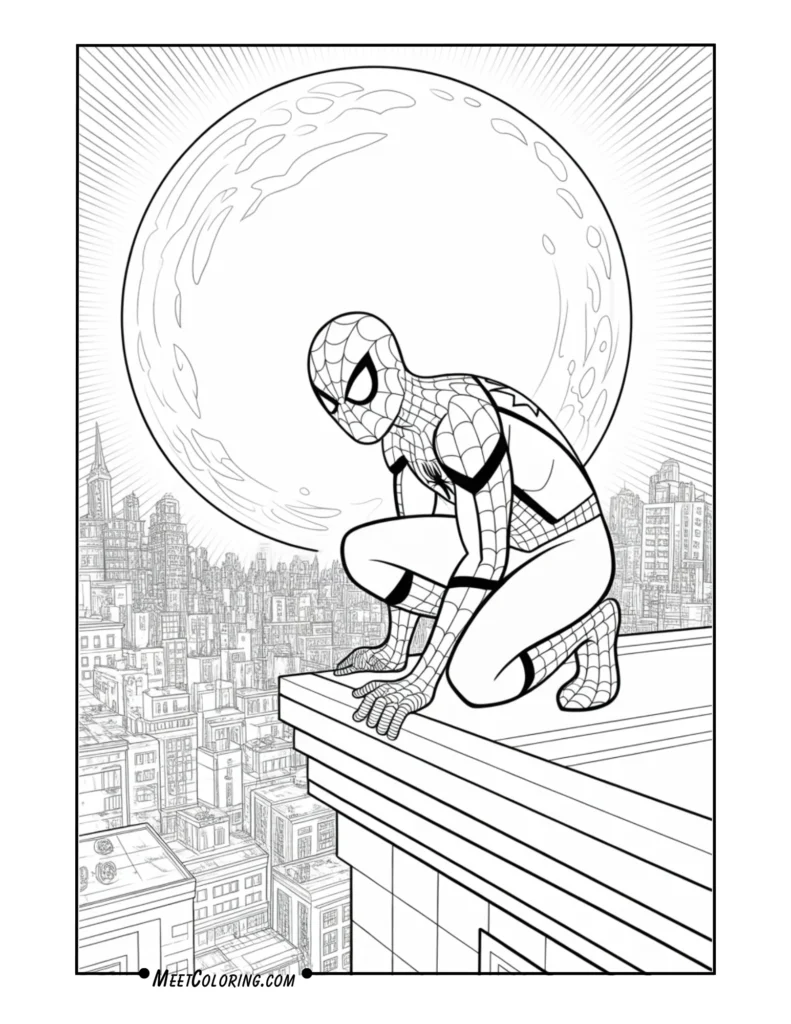 Spider-Man on a Rooftop at Night