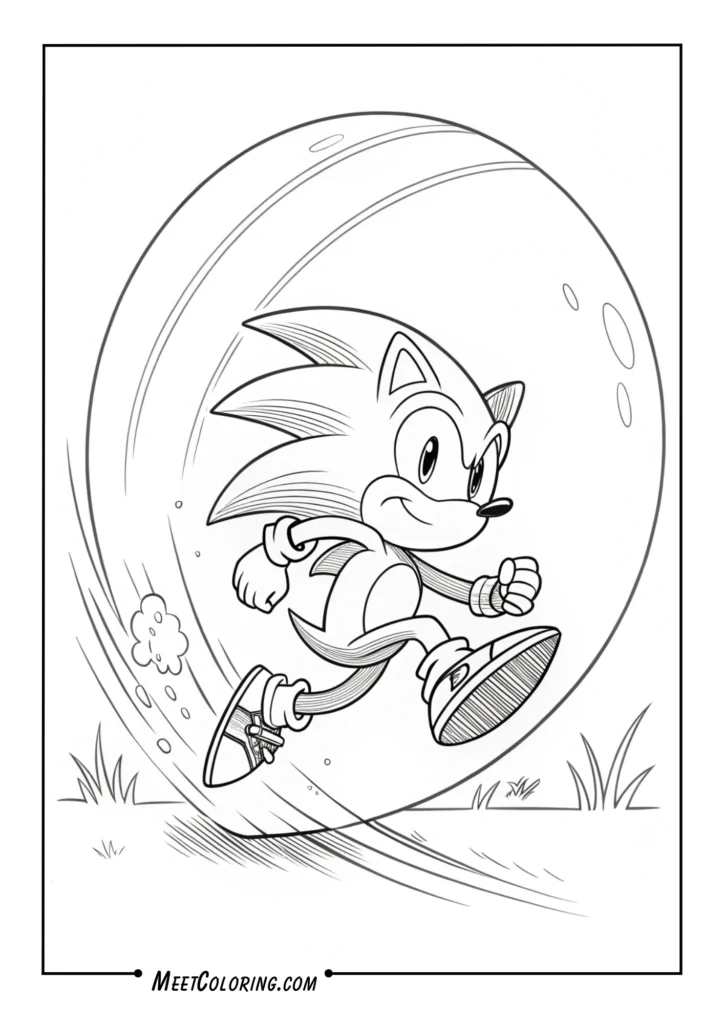 Spin Dash Sonic