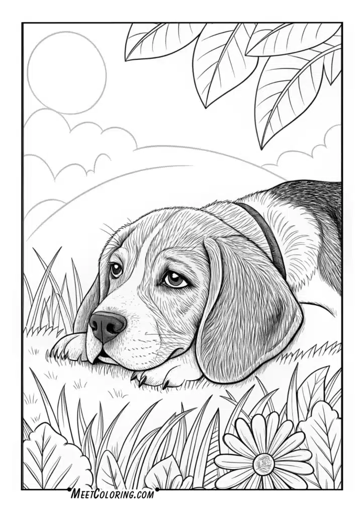 Beagle Resting Peacefully